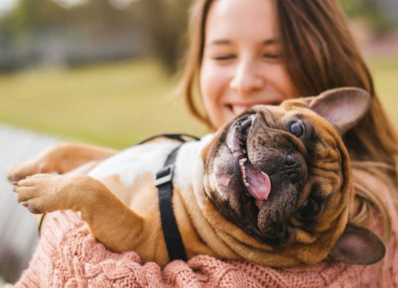 How Much CBD Is Enough to Help Your Pet?