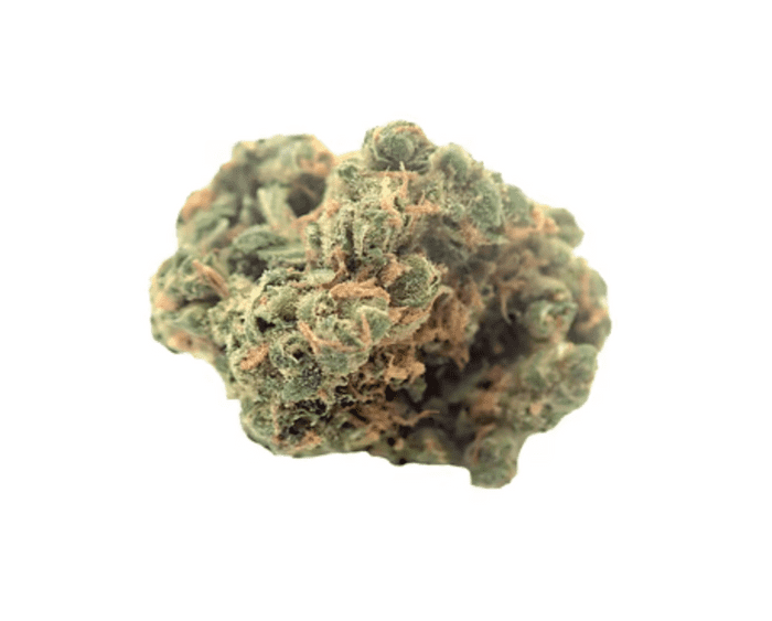 PSH is a sativa-dominant hybrid developed from crossing PE and SSH.