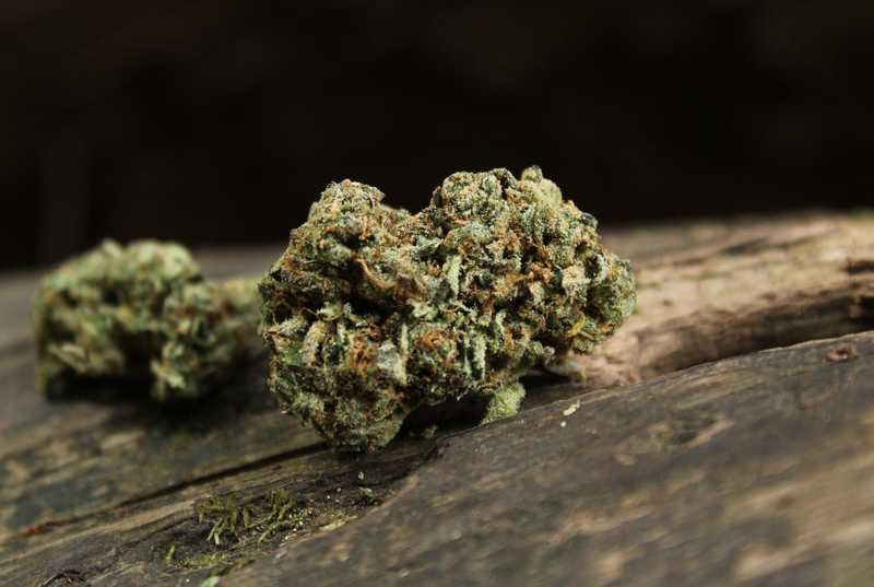 Top 5 Marijuana Strains That'll Make Your Day Brighter