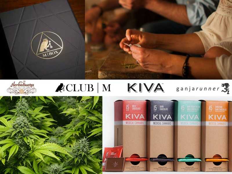 4 Top Cannabis Brands Tell You Their 420 Story