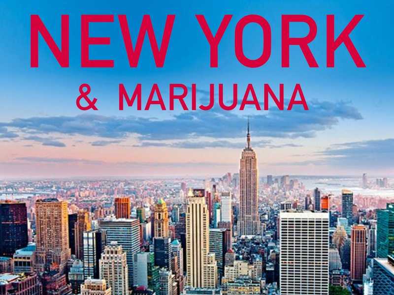 New York Attempts to Reduce Barriers to Medical Marijuana