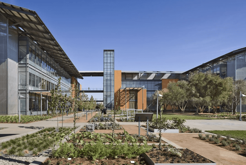 UC Davis to Teach Physiology of Cannabis Course