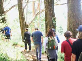 Try an Immersive Sound Bath & Hike in Muir Woods with Cannabis 