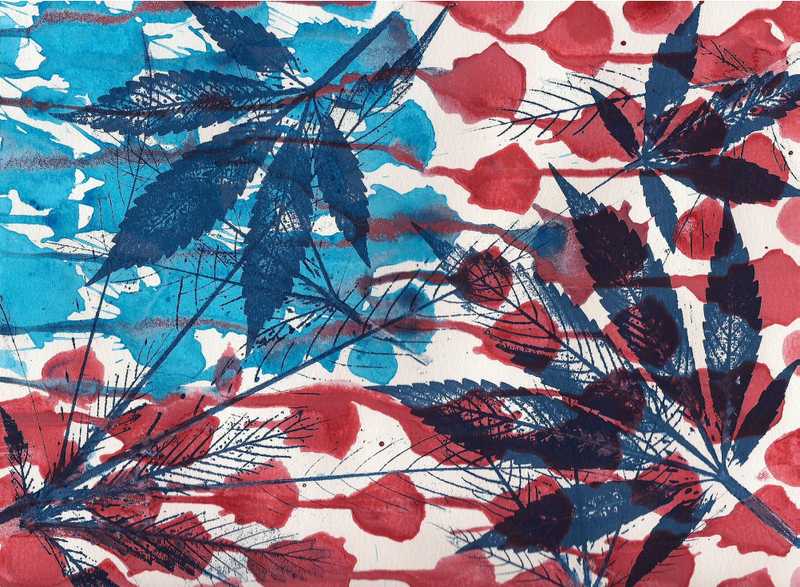 8 Fast Facts About the History of Cannabis in the U.S.