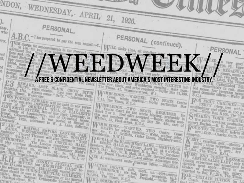 Q & A with Alex Halperin of WeedWeek