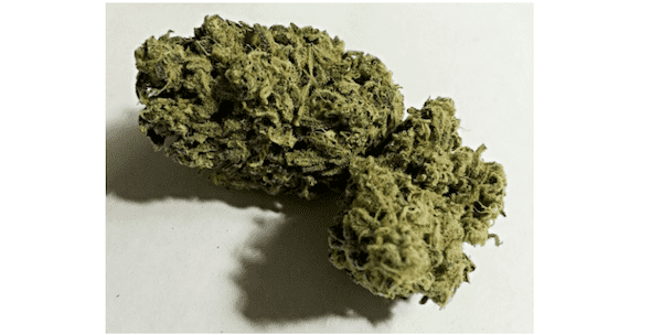 Mango Kush marijuana will have you feeling talkative, relaxed and happy