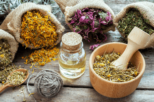 Plant Medicine: What Is It & Why Is It So Popular?