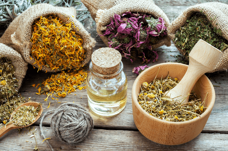 Plant Medicine: What Is It & Why Is It So Popular?