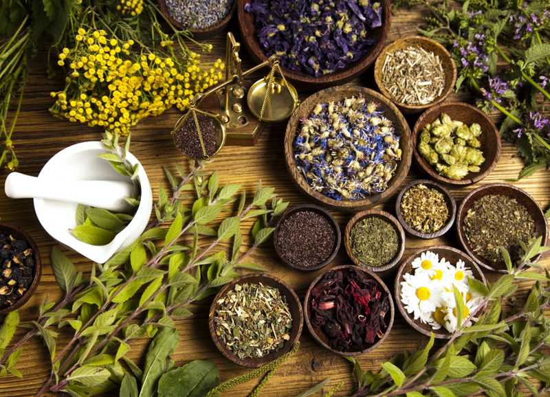 4 Herbs That Can Enhance Cannabis’s Effects