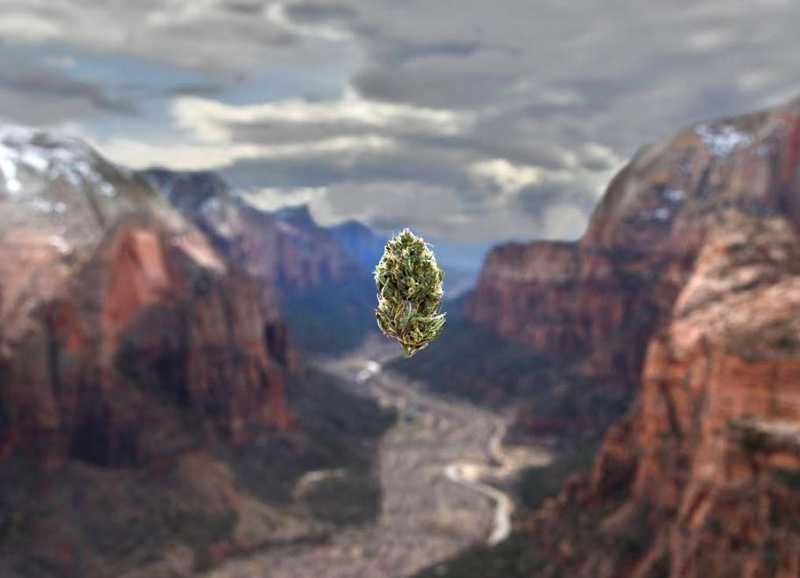 Top 7 Cannabis Images on Instagram