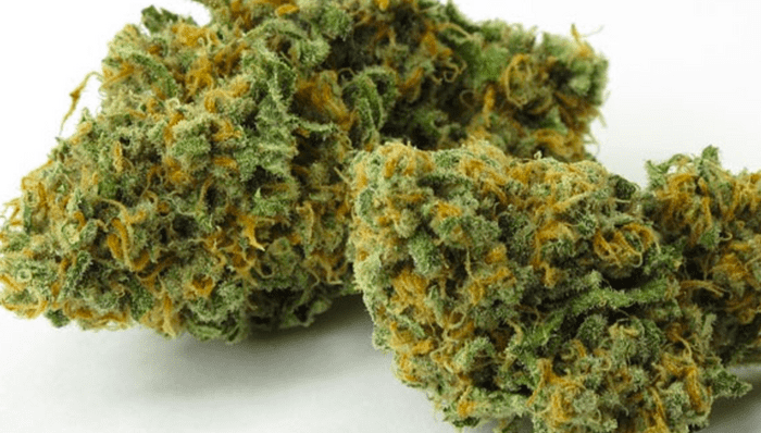 Fatigue-fighting marijuana strain: Green Crack