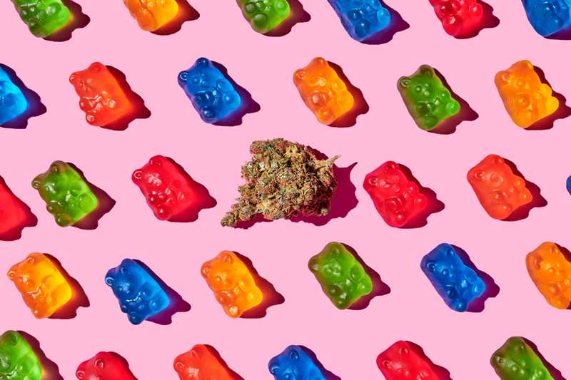 How to Dose Cannabis Edibles Perfectly Every Time