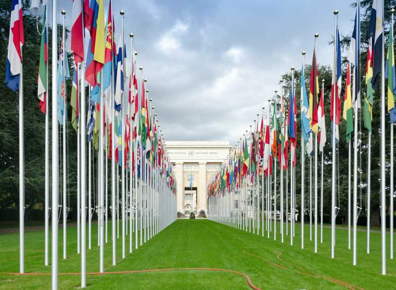 World Health Organization Opens the Door to Cannabis Law Reforms